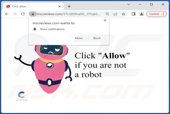 Mscreviews.com Ads