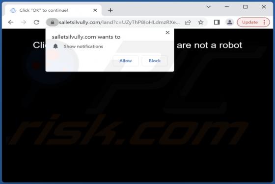Salletsilvully.com Ads