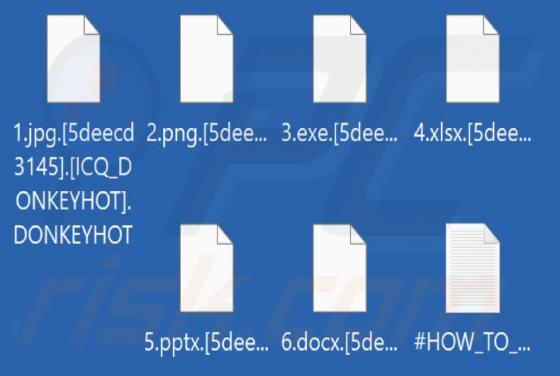 DONKEYHOT Ransomware