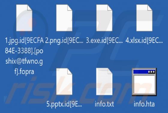 Fopra Ransomware