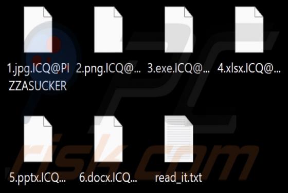 PIZZASUCKER Ransomware