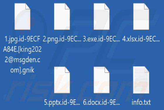 Gnik Ransomware