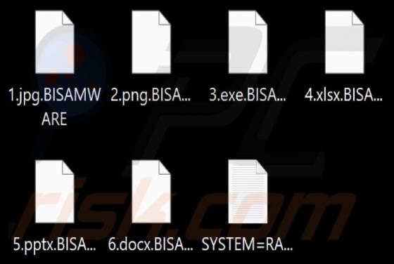 BISAMWARE Ransomware