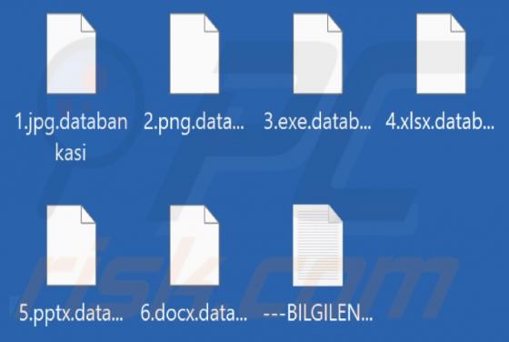 DataBankasi Ransomware