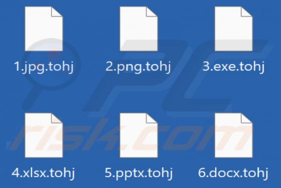 Tohj Ransomware