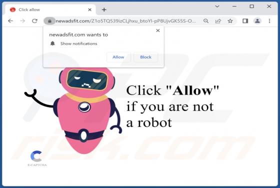 Newadsfit.com Ads