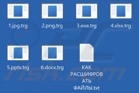 Trg Ransomware