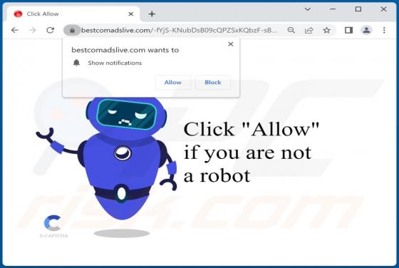 Bestcomadslive.com Ads