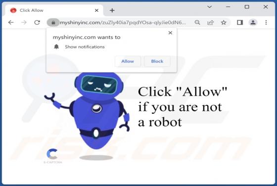 Myshinyinc.com Ads