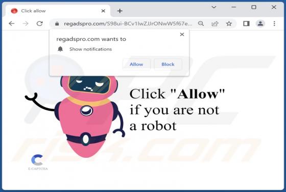 Regadspro.com Ads