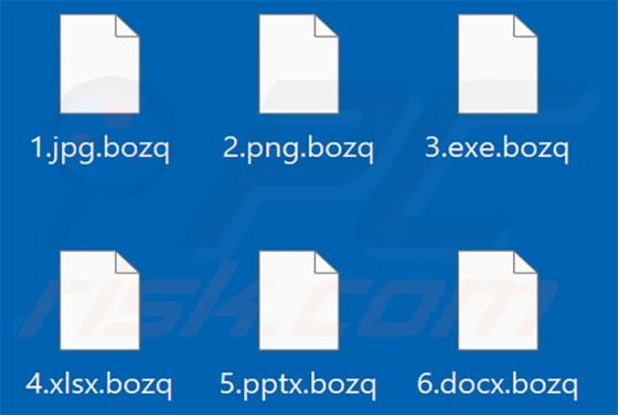 Bozq Ransomware