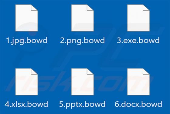 Bowd Ransomware