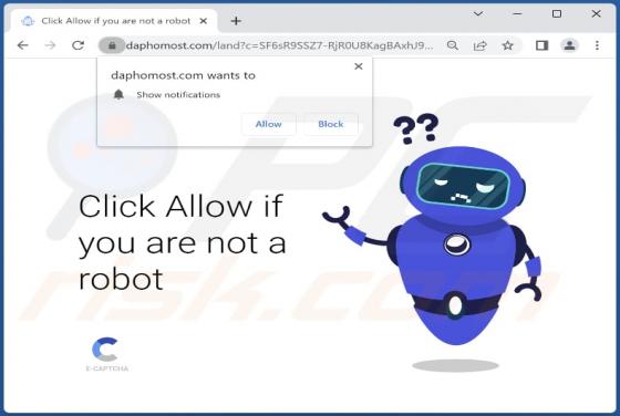 Daphomost.com Ads