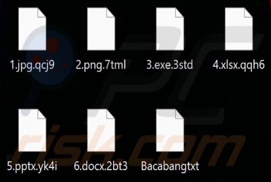 ZEUSSEC1337 Ransomware