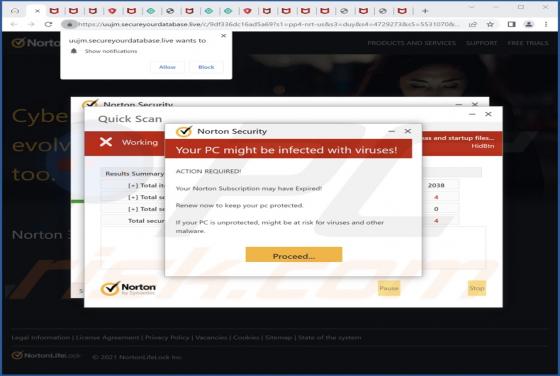 Secureyourdatabase.live Ads