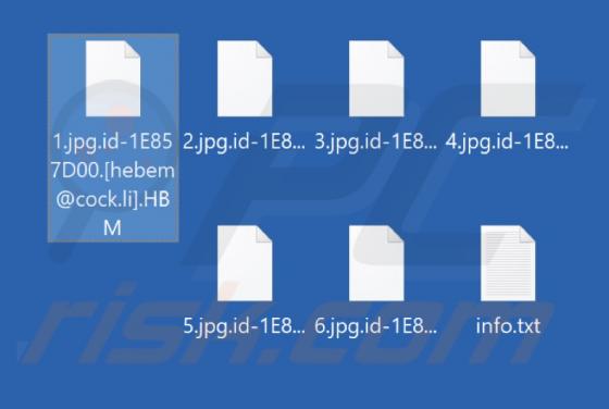 HBM Ransomware