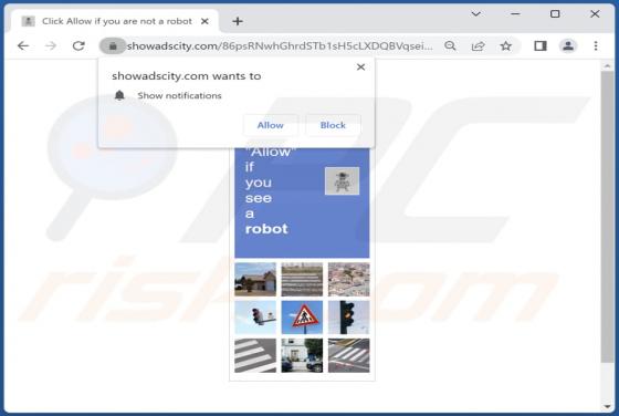 Showadscity.com Ads