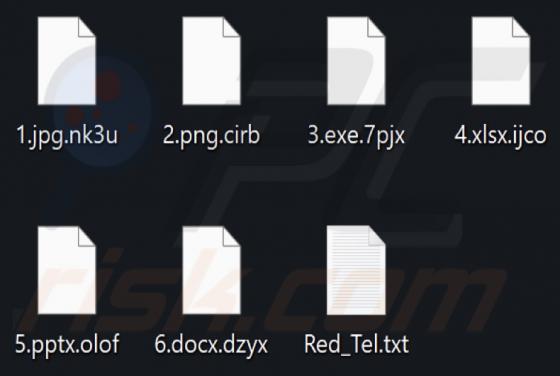 Teng Snake Ransomware