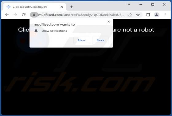 Mudflised.com Ads