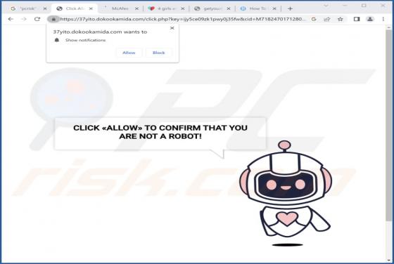 Dokookamida.com Ads