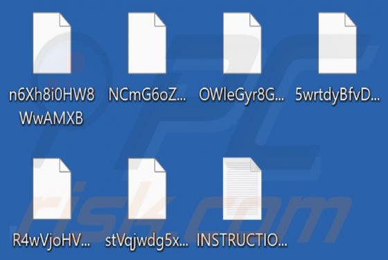 Crustom Ransomware