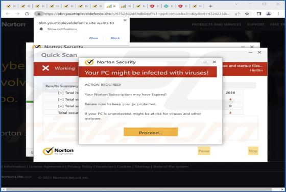 Yourtopleveldefence.site Ads