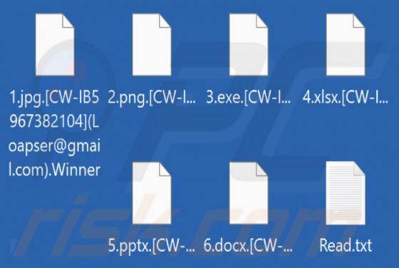 Winner Ransomware