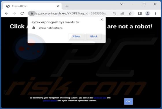 Erpringash.xyz Ads