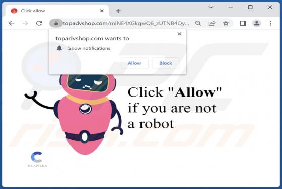 Topadvshop.com Ads