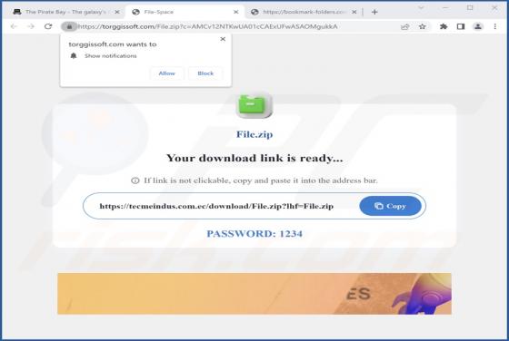 Torggissoft.com Ads