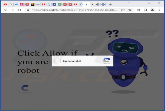 Wersi.club Ads