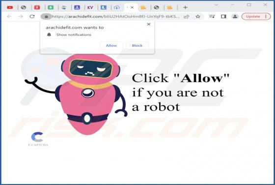 Arachidefit.com Ads