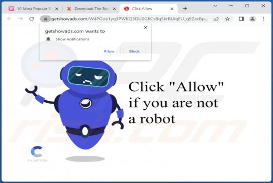 Getshowads.com Ads