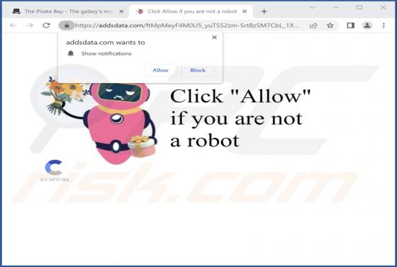 Addsdata.com Ads