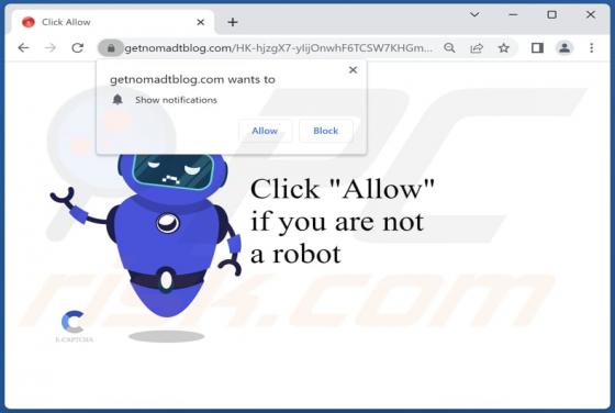 Getnomadtblog.com Ads