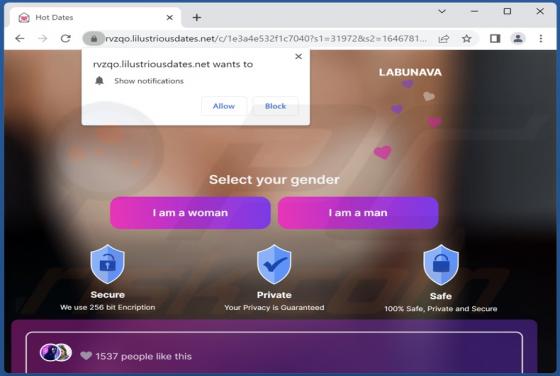 Lilustriousdates.net Ads
