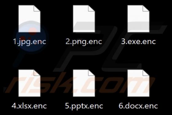 Roghe Ransomware