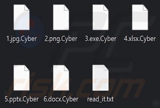 Cyber (Chaos) Ransomware