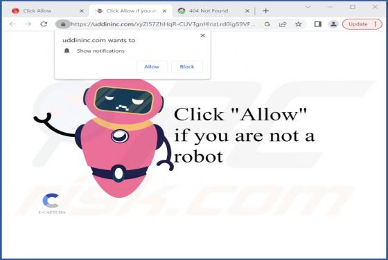 Uddininc.com Ads