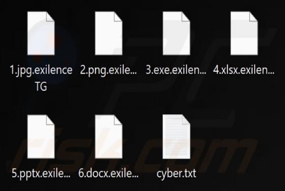 ExilenceTG Ransomware