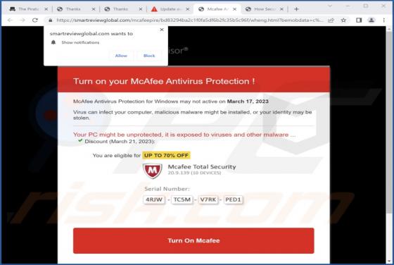 Smartreviewglobal.com Ads