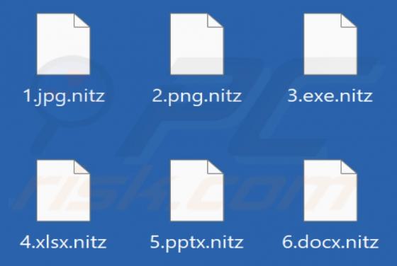 Nitz Ransomware