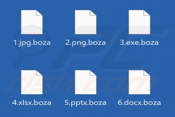 Boza Ransomware