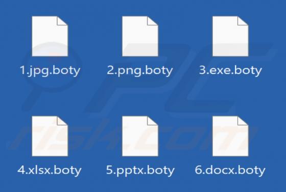 Boty Ransomware