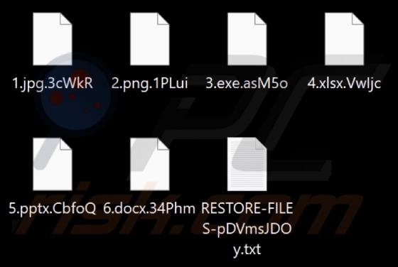 CRYPTNET Ransomware