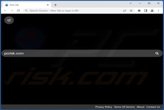 Oceans - New Tab Browser Hijacker