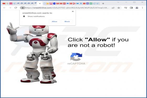 Oneettinlive.com Ads