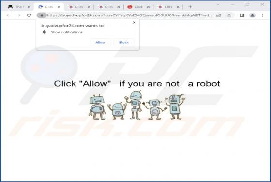 Buyadvupfor24.com Ads