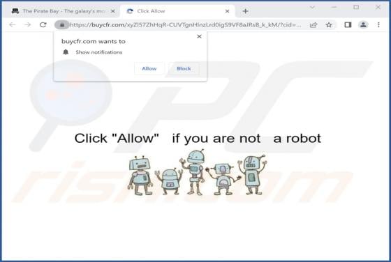 Buycfr.com Ads
