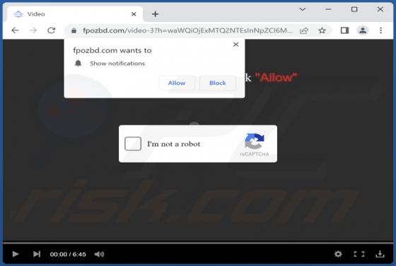 Fpozbd.com Ads